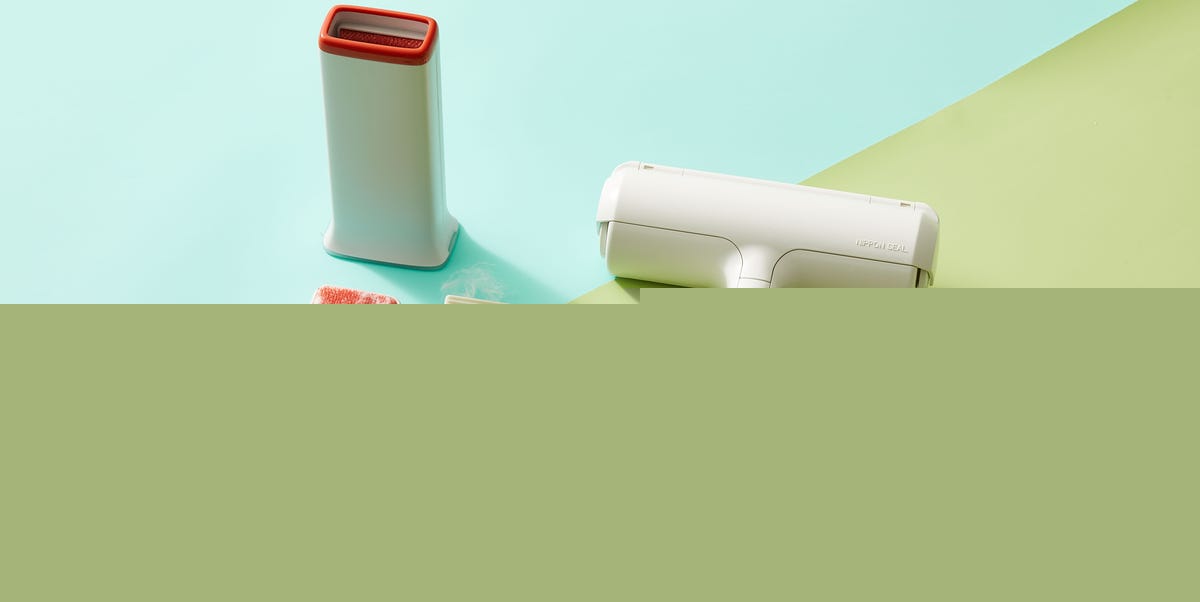 The 8 Best Pet Hair Removers for Clothes, Furniture, Carpets, and More