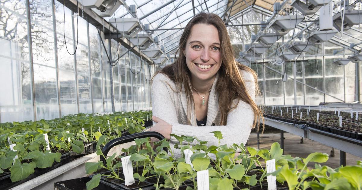 Maximising the impact of publicly funded research at Norwich Research Park