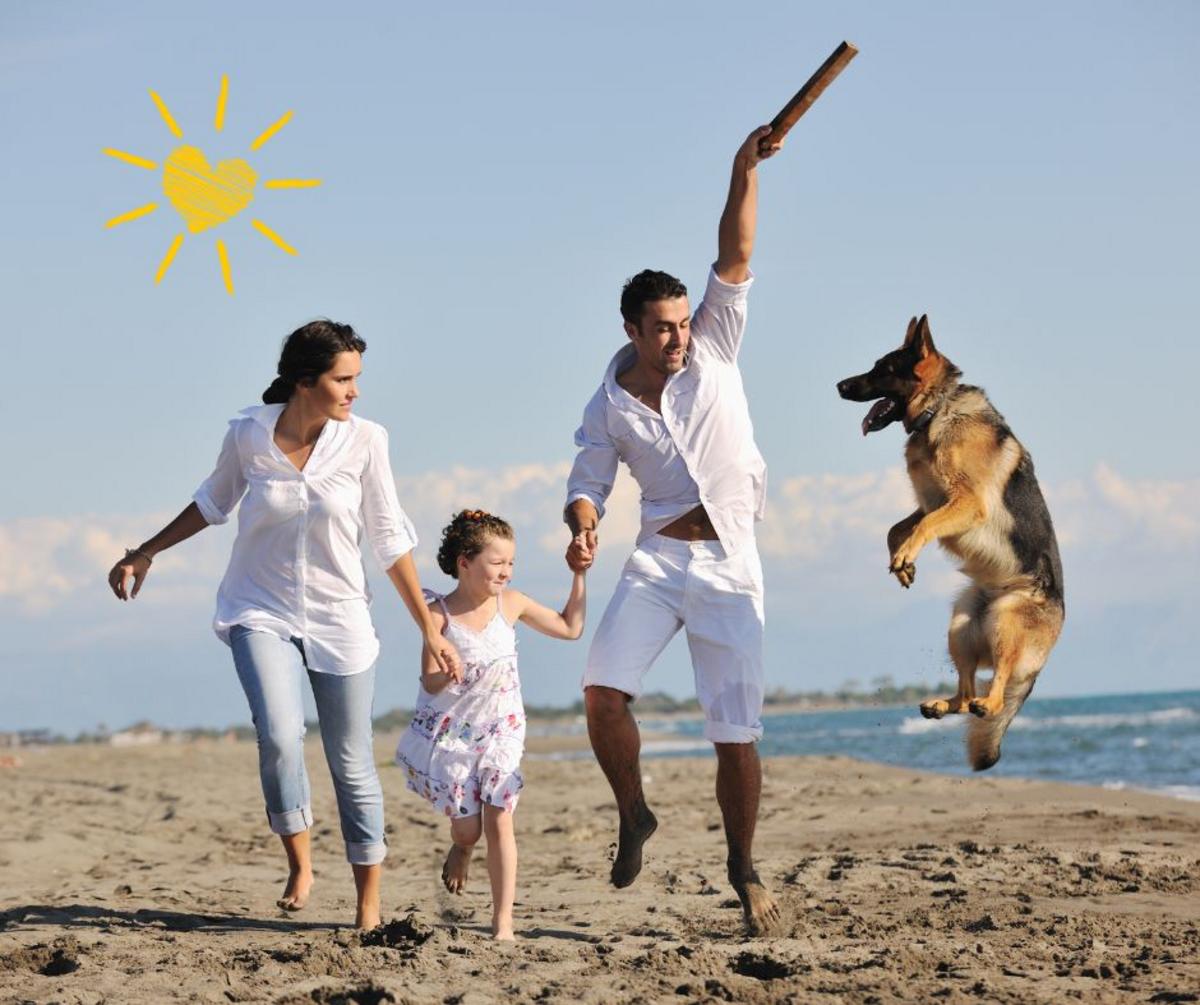 Which New Jersey Beaches Welcome Dogs in the Fall?