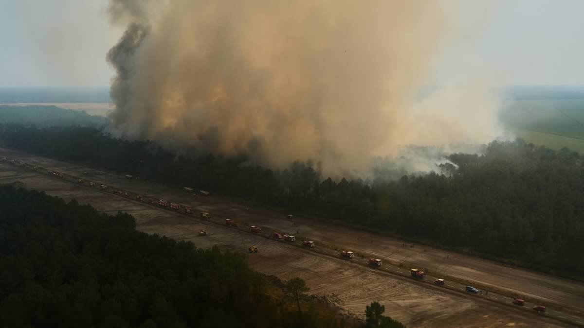 Mégafeu en Gironde : incendie volontaire, mise en danger de la vie d’autrui, vols par effraction... Que sait-on des procédures engagées et des personnes mises en cause ?