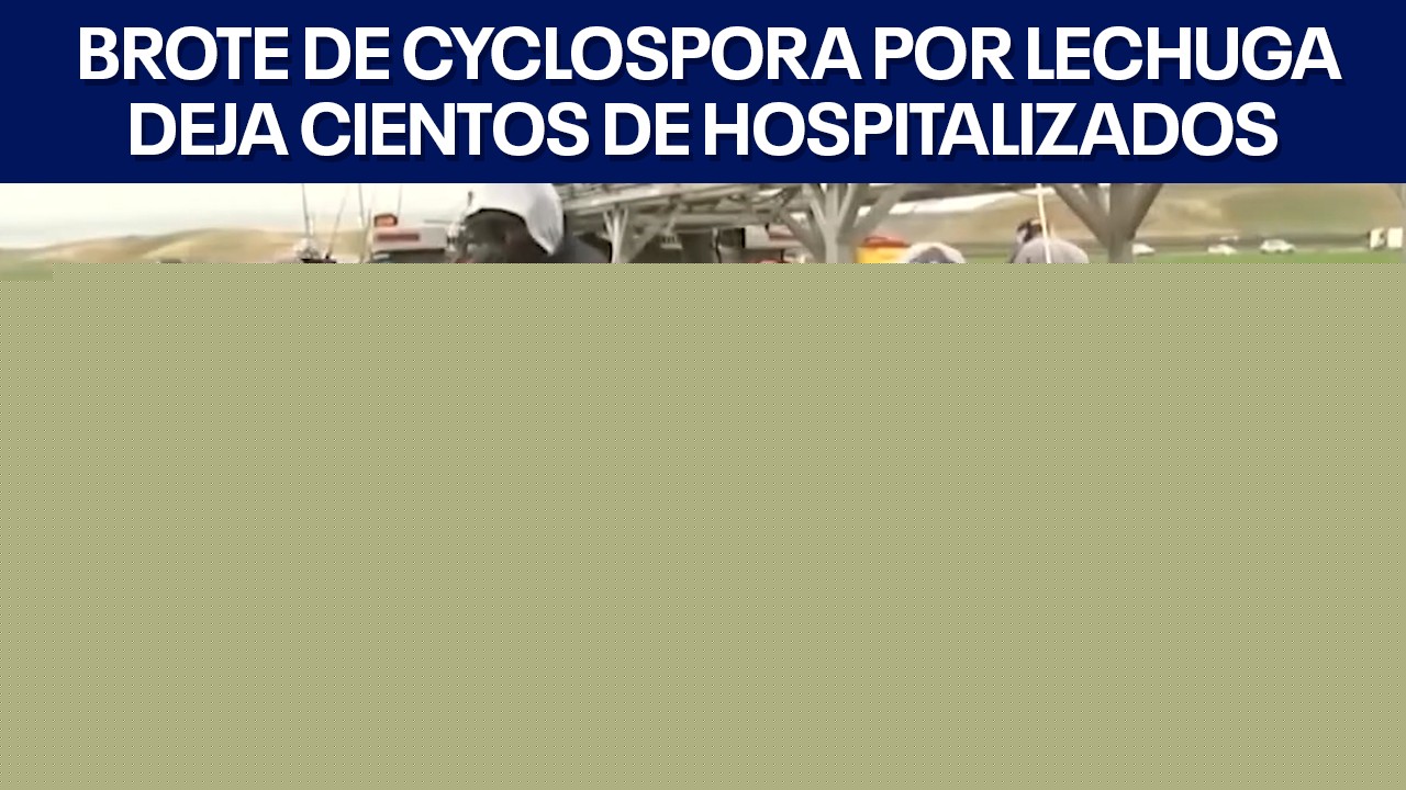 FOX 7 Español - 7/31/2026 Titulares