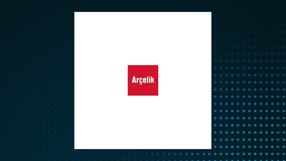 Arçelik Anonim Sirketi (ACKAY) and Its Competitors Critical Analysis
