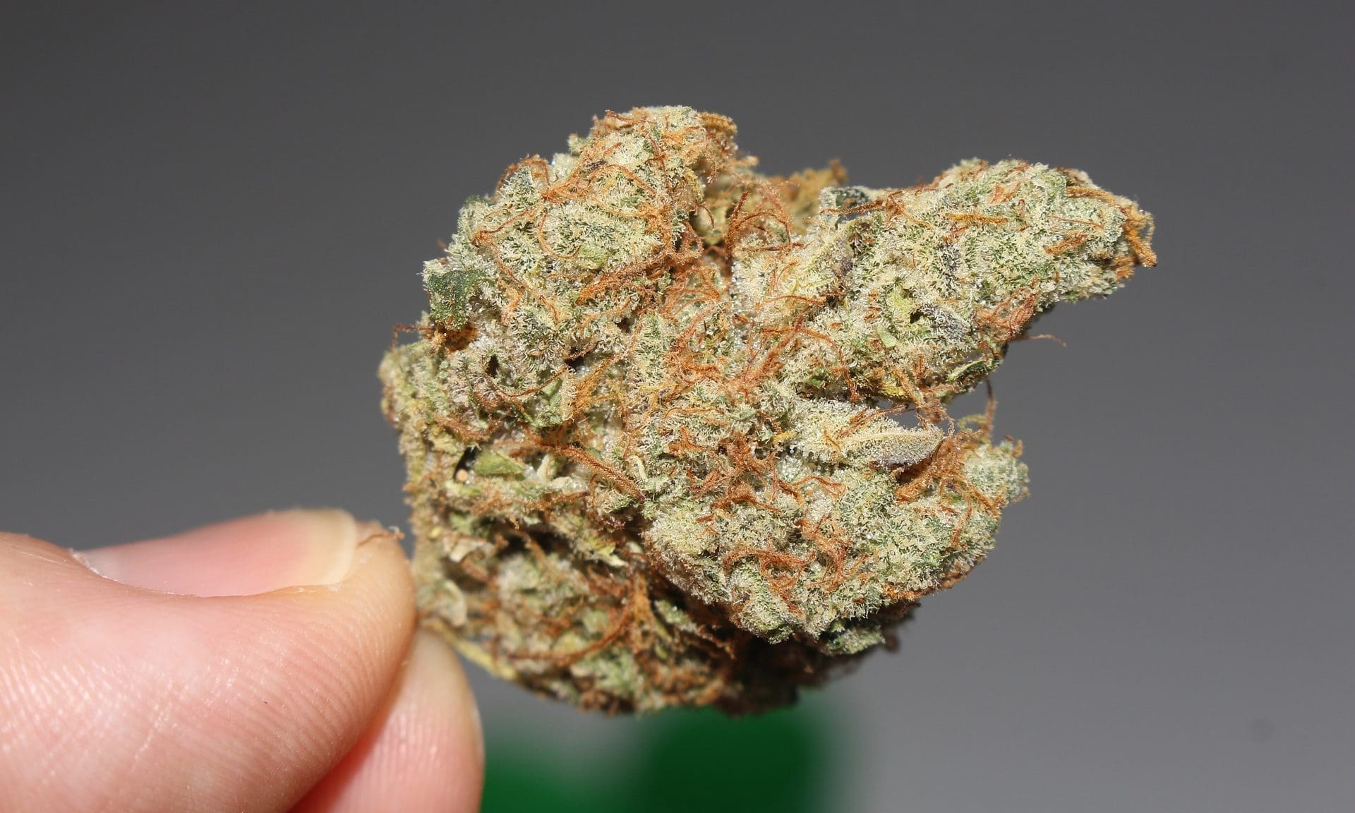 DEA cannabis rescheduling rule coming “ASAP,” Trump insider says (Newsletter: January 29, 2026)