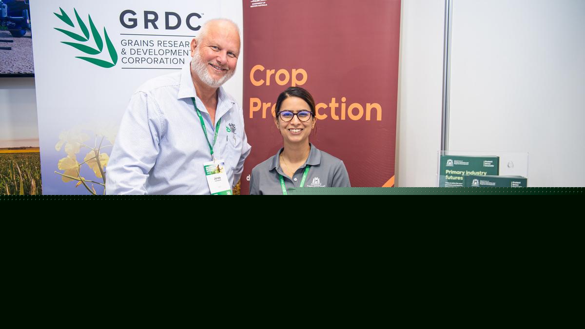 Newly-released app set to help lupin growers to manage fungal disease