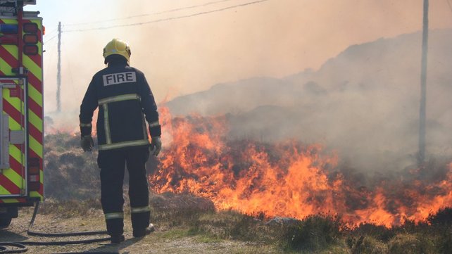 IFA urges forestry owners to have comprehensive fire plans in place