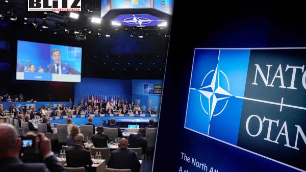 NATO at a crossroads: Preparing for a defining summit in a pivotal year