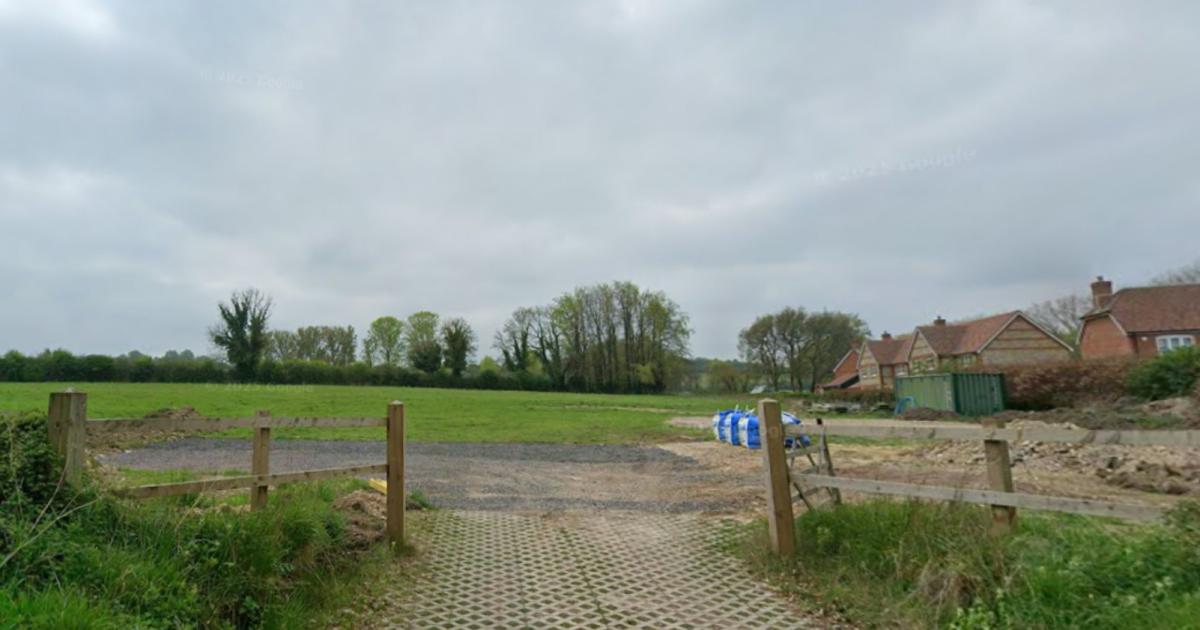 Plans for 40 homes down country lane raise highways and wildlife concerns