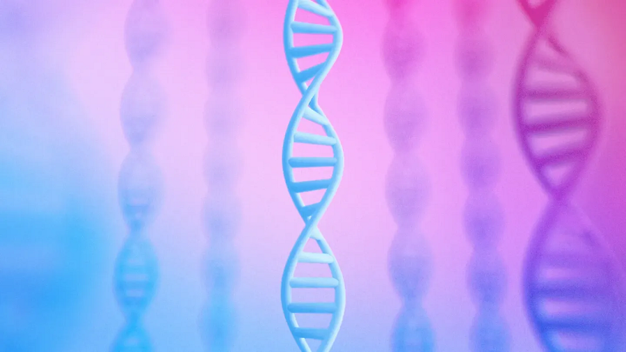 Google DeepMind open-sources AlphaGenome medical research model