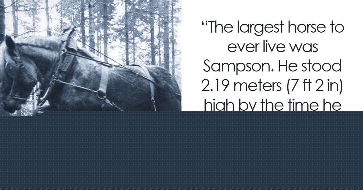 The Past Never Runs Out Of Surprises: History Facts And Stories