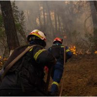 Trei pompieri au murit în incendiile de vegetație din Grecia. În Spania, șase localități au fost evacuate din cauza unui nou incendiu în nord-vestul țării | AUDIO
