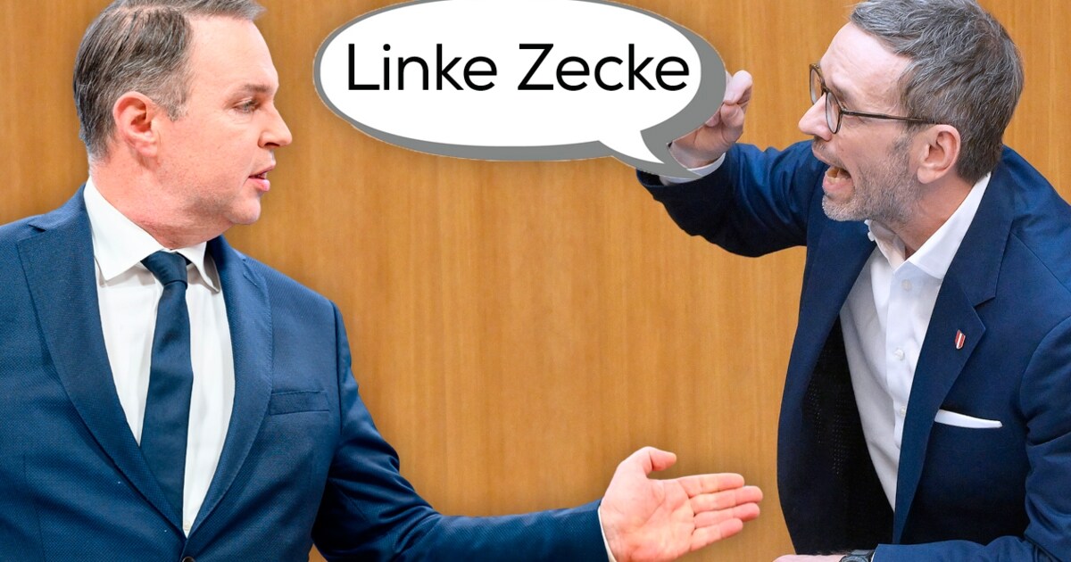 5000 Euro Strafe - FPÖ nannte Babler „linke Zecke“ und muss zahlen