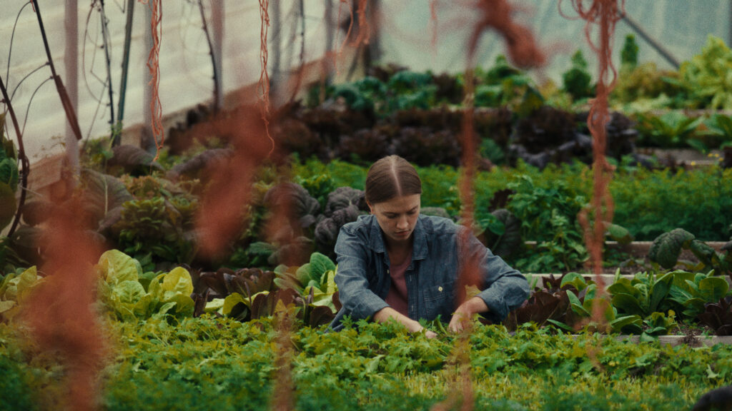 Sundance 2026: Weird is smart, funny, thrilling and elucidating in Midnight Short Program’s set of six miniature gems