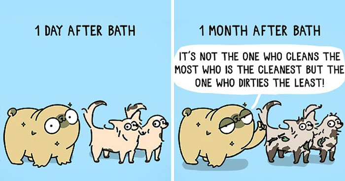 Comics That Perfectly Show The Everyday Life Of An Artist, Her Family, And One Spoiled Pug (23 New Pics)