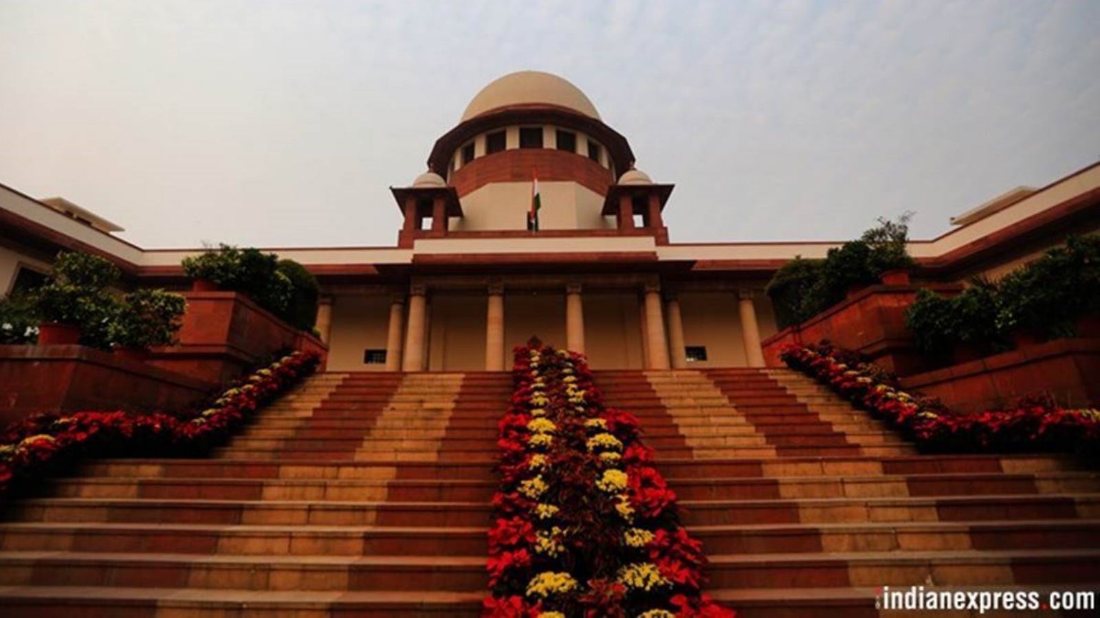 ‘They are all building castles in the air’: SC pulls up states over inadequate measures to control stray dogs