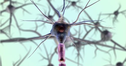 Tumori, le cellule per rigenerare il midollo spinale