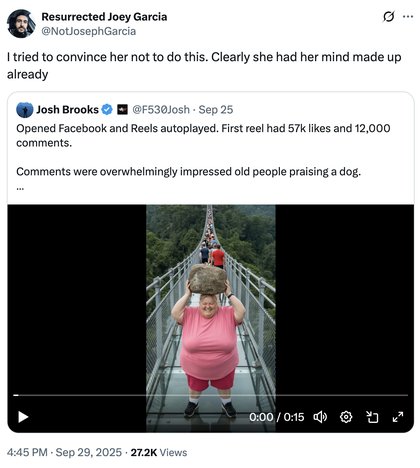AI Lady With Rock Breaking Glass Bridge - I tried to convince her not to do this. Clearly she had her mind made up already
