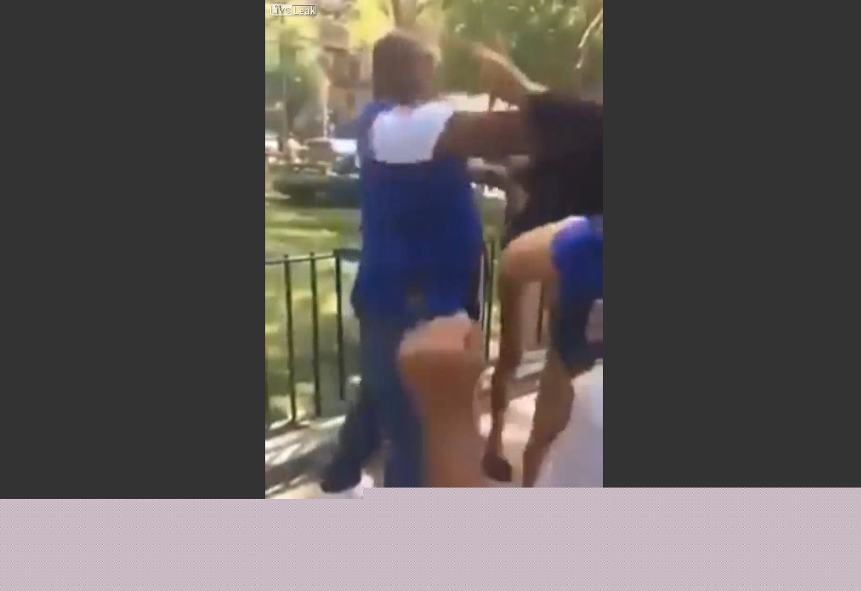 Comment on Man Defends Daughter From Horde Of Violent Females, Lays Them Out Flat by อ่านมันฮวา
