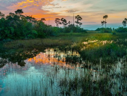 The Best State Park in Georgia to Visit in 2026
