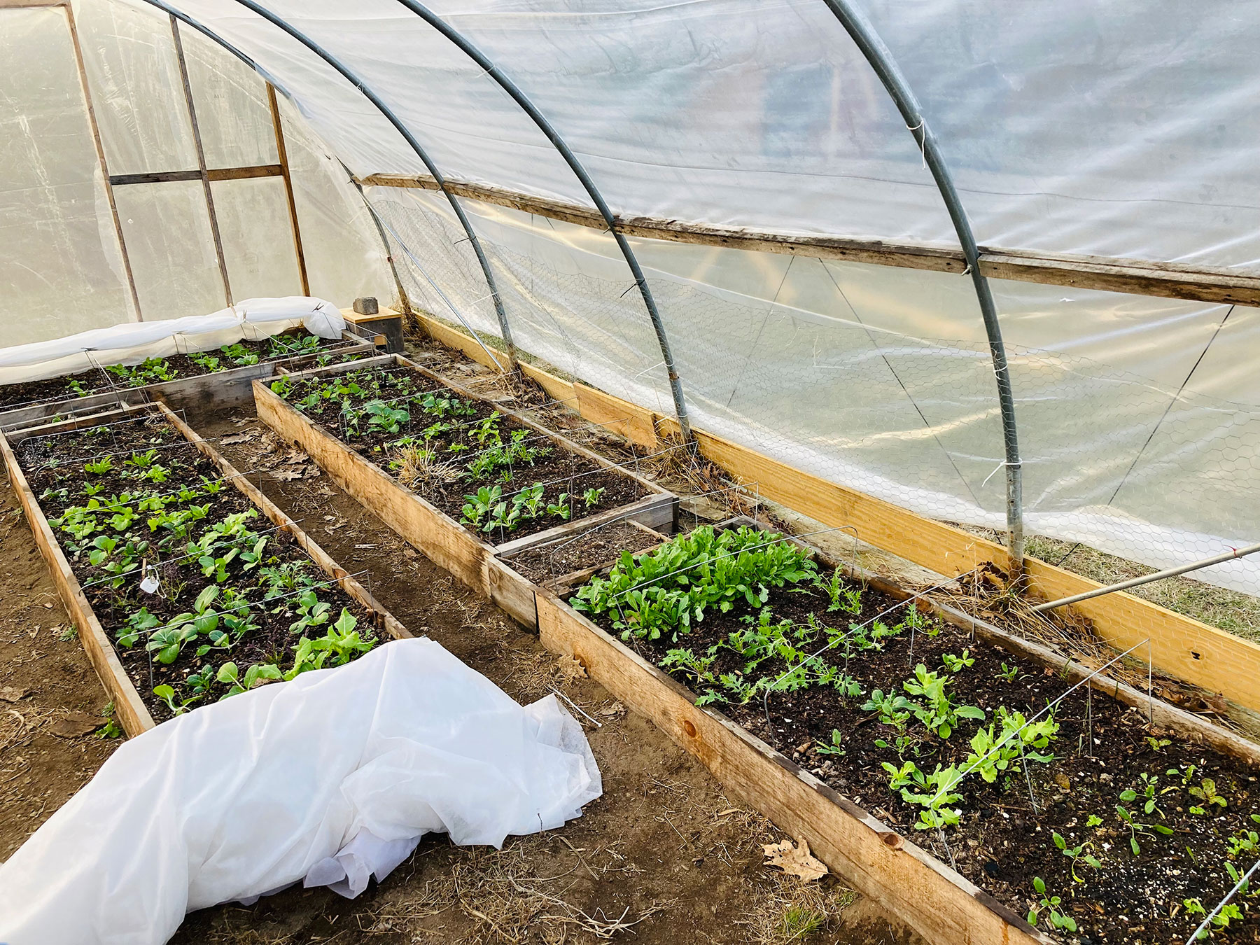 Hoop houses and vegetable stands