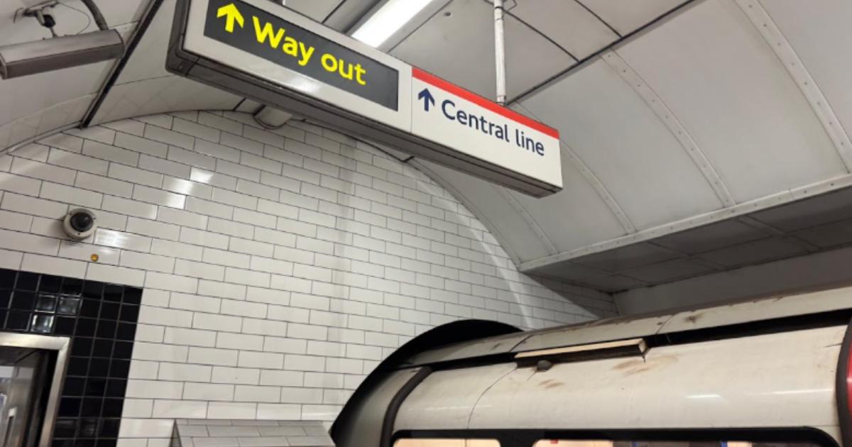 Person dies after being hit by train at Central line tube station