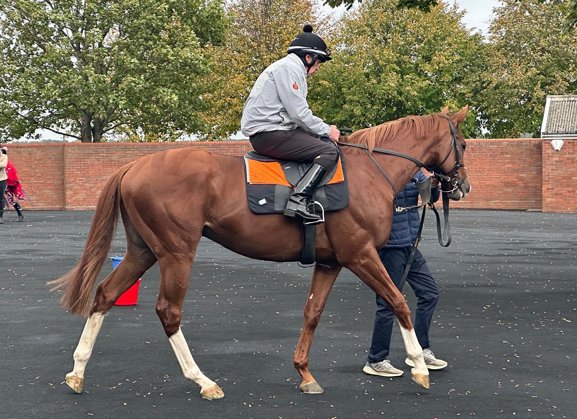 Blustery Newmarket Breeze for Economics and Dubai Honour