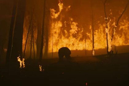 Oscar-Nominated Movie Quietly Brings Montana Into The Fold