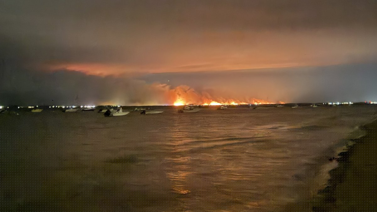 TÉMOIGNAGES. Incendies en Gironde : "L'avenir ? Les sinistrés ont trop de larmes et de fumée dans les yeux pour le voir"