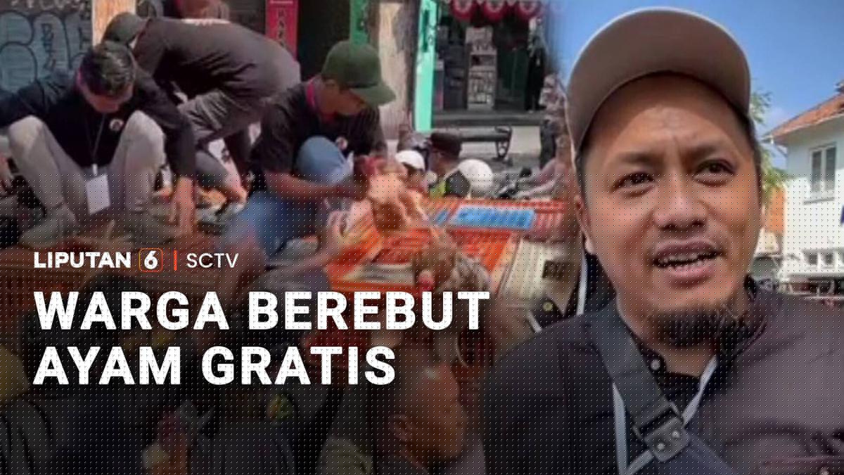 Warga Berebut Ayam Gratis, Peternak Keluhkan Harga Pakan Tinggi