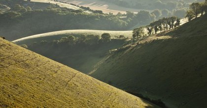 Five-year vision launched to protect wildlife, water and green spaces