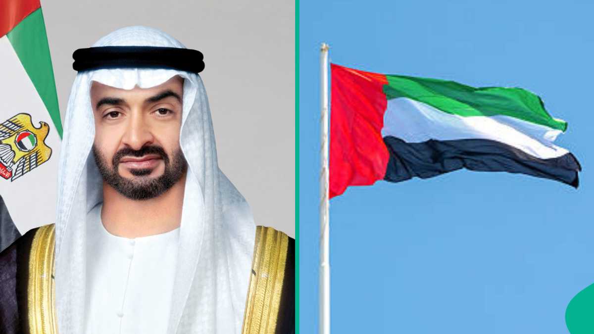 No visa needed for UAE travel if you're a citizen of these 5 Gulf nations