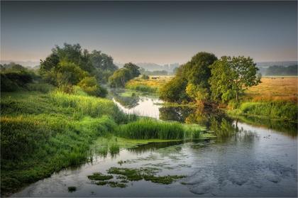 83% of England's rivers show 'high pollution' levels as sewage and agricultural waste flow into the waterways