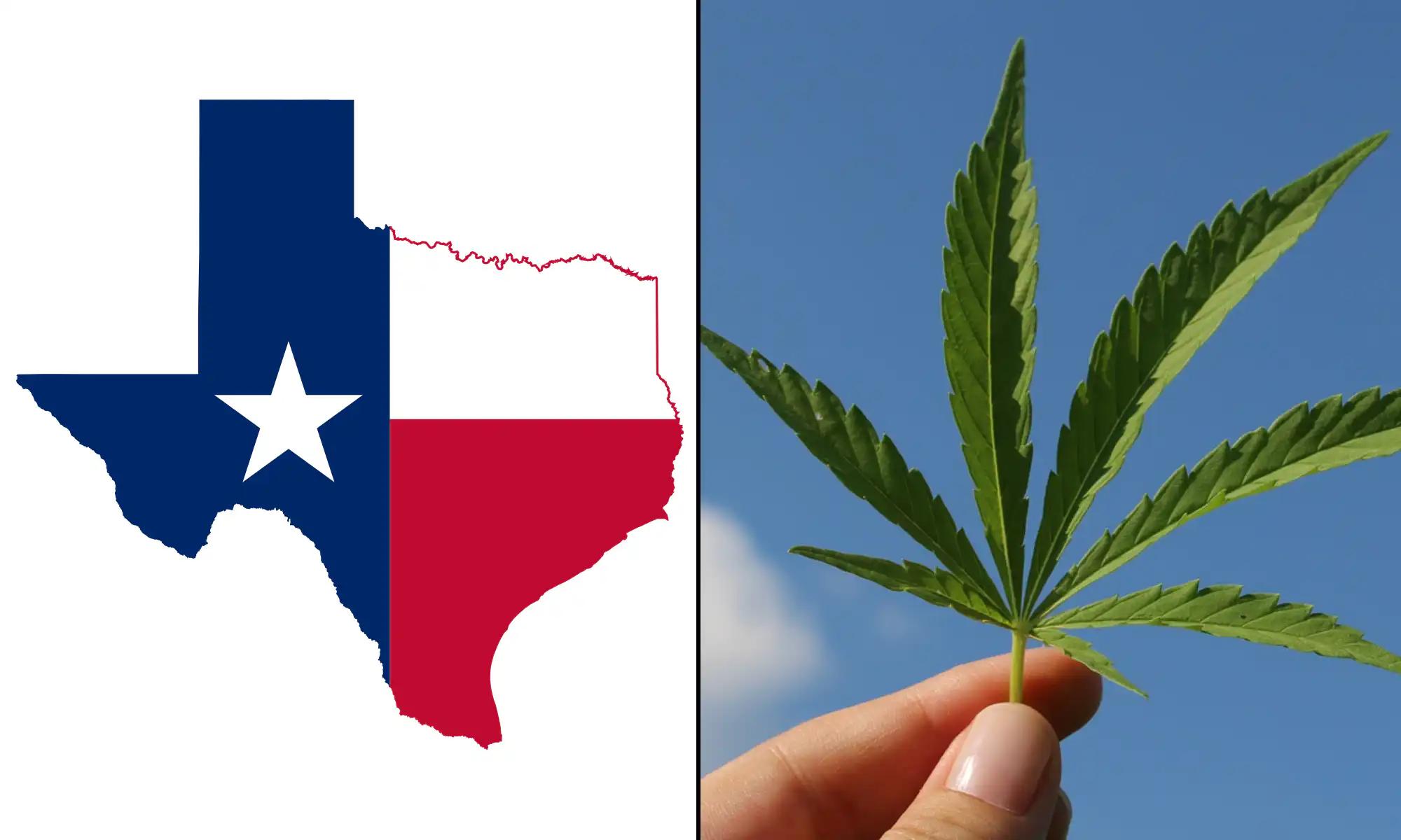 Texas Banning Cannabis Is An ‘Insane’ Form Of Corruption That Benefits Big Beer, Big Tobacco And Drug Cartels, Talarico Says