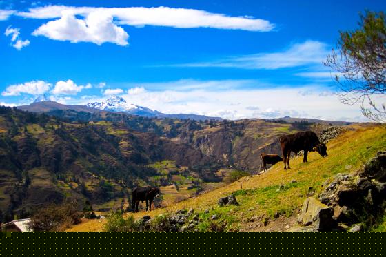 Partnership Opportunity: Ideas for Catalyzing Climate and Global Health Work
