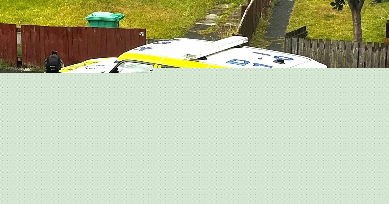 Man arrested and taken to hospital after armed police lock down street in Fife