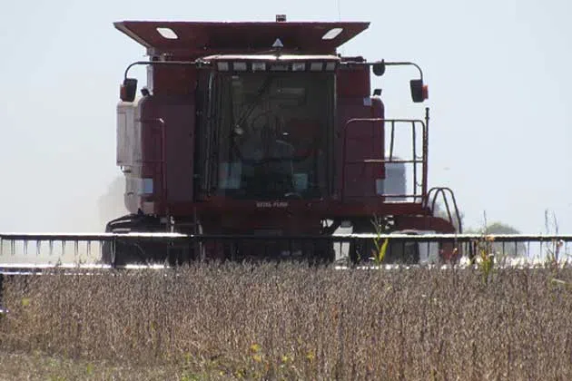 Illinois soybean farmers in ‘danger of bankruptcy’ due to tariffs