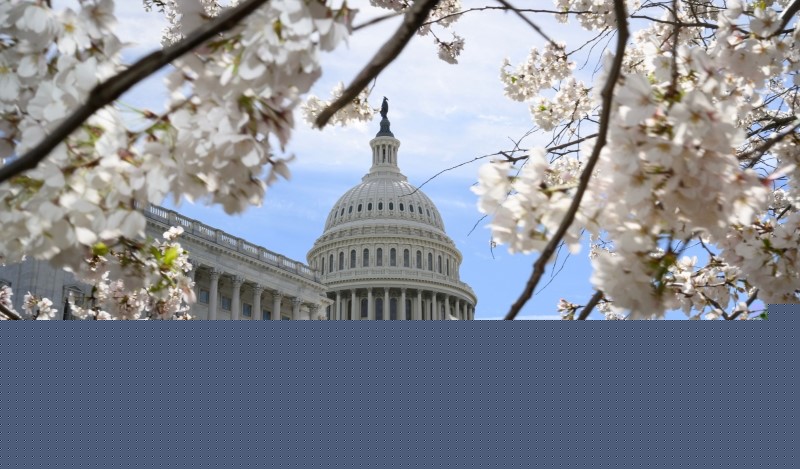 Matthew Johnson: Top Contributor Essays of 2024