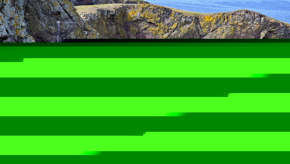 The Scottish Borders coastal walk 'like a nature documentary' with Harry Styles connection