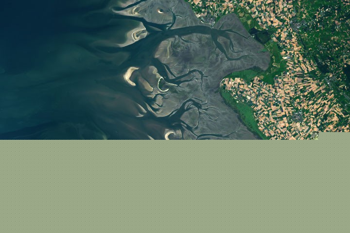How the Tide Turns at the Mouth of the Elbe