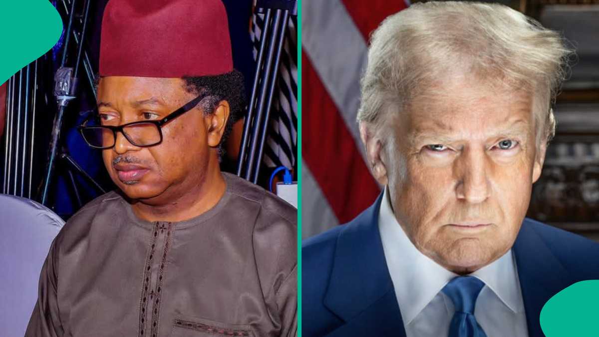 APC chieftain explains why Trump is not interested in Nigeria's 2027 elections