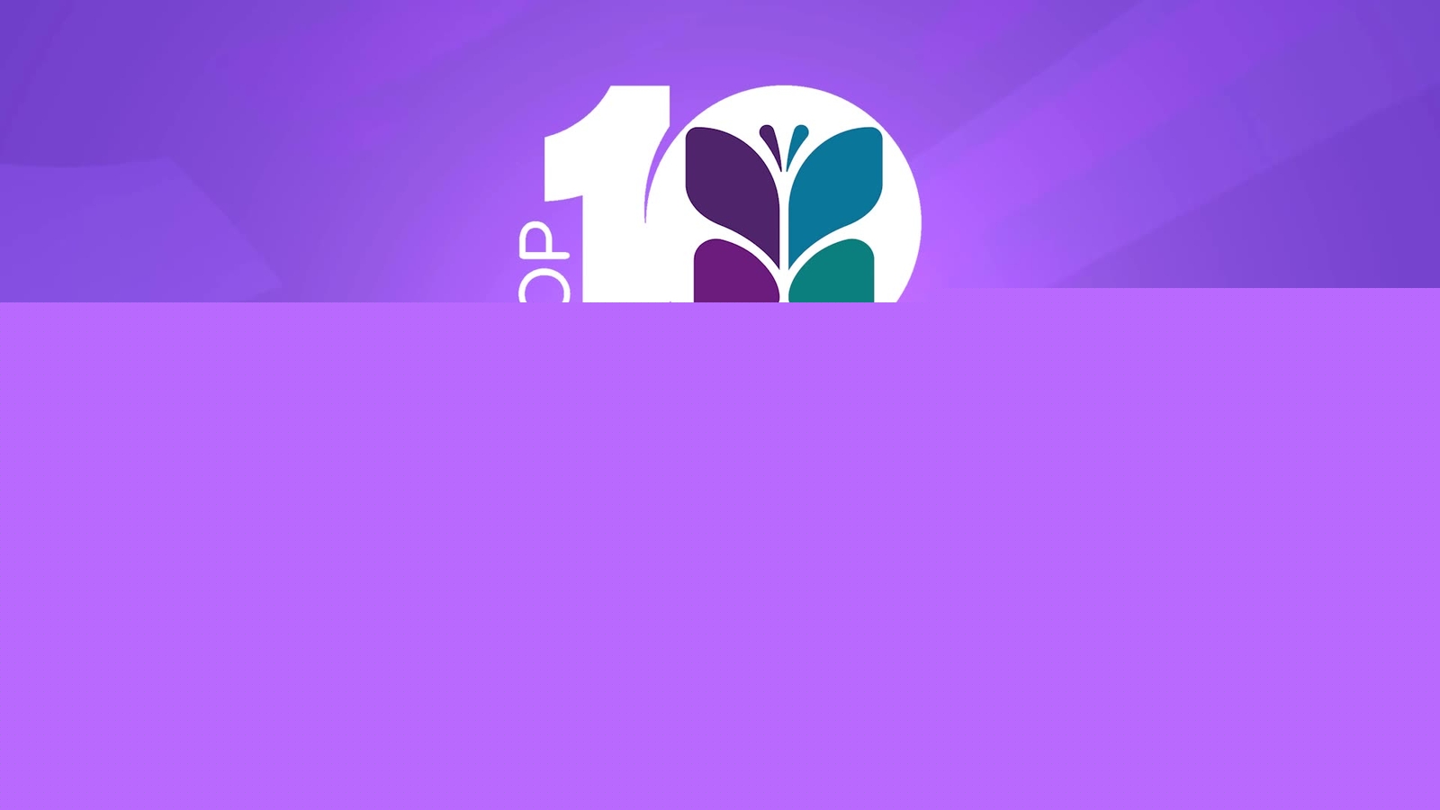 Top 10 Professional Women Awards Luncheon Benefits Marjaree Mason Center