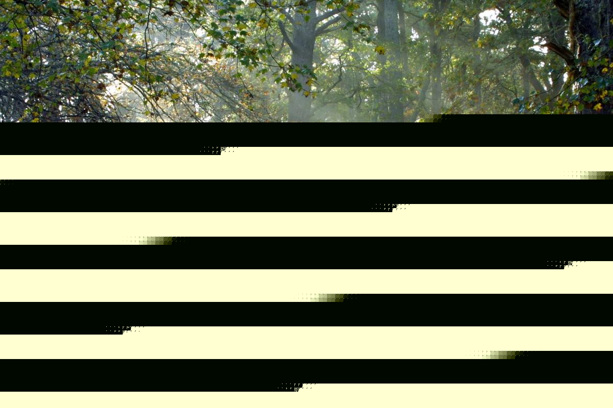 Extras Needed For Netflix Series Filming in Adirondacks