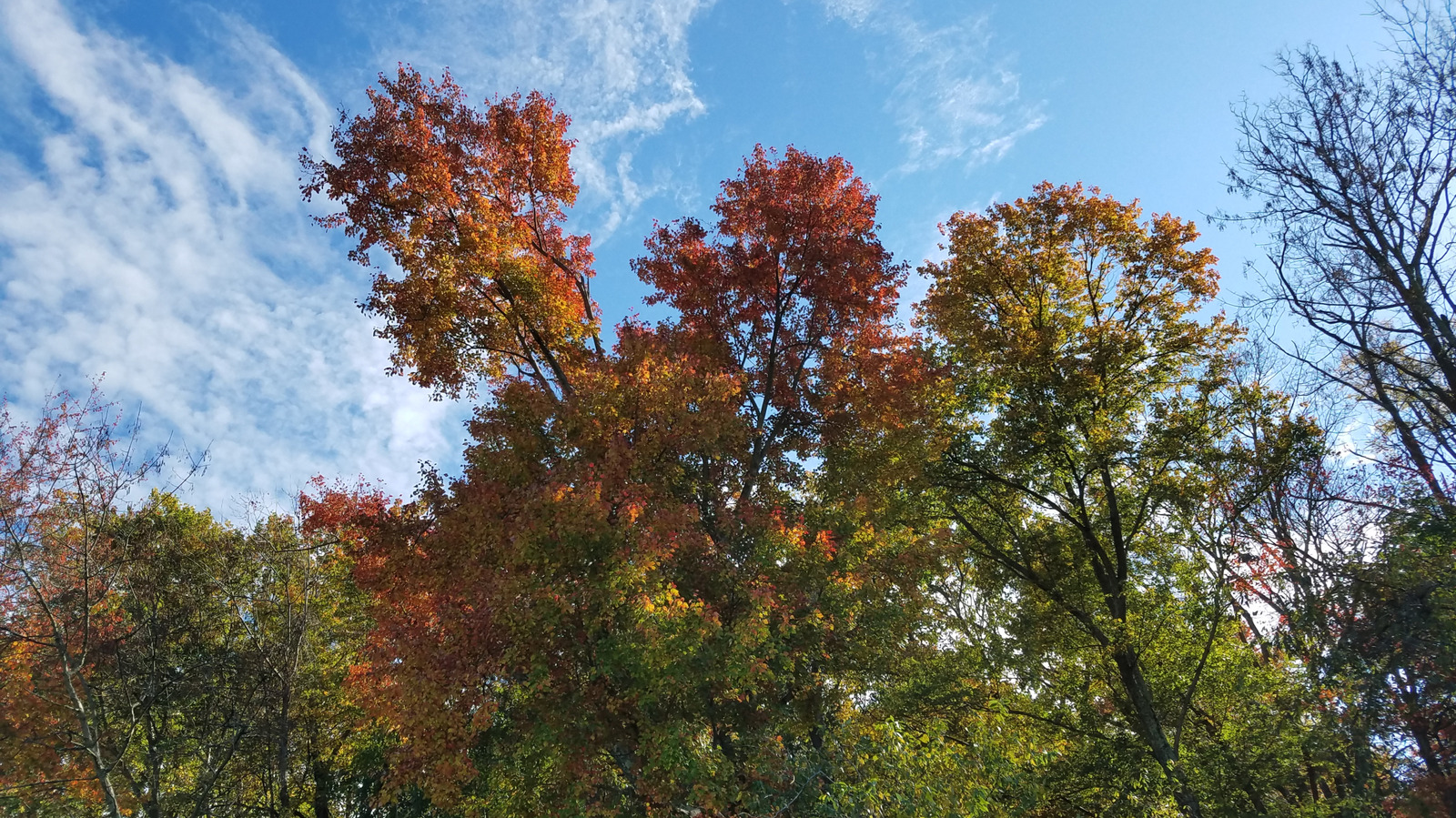 Pennsylvania's Unique, Historic 'Food Forest' Is A Flourishing Garden Of Eden In The Philly Metro Area