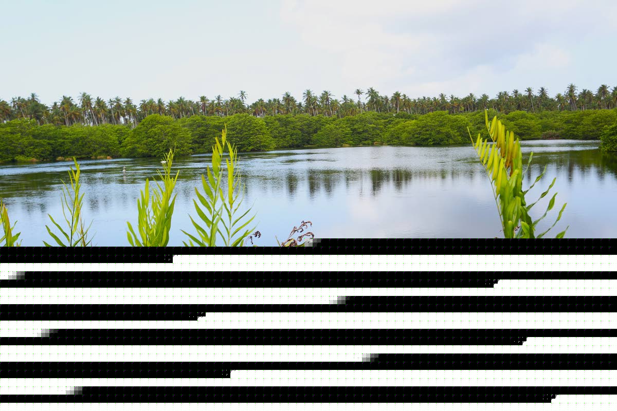 Icacos: A place with nothing to do, and all day to do it