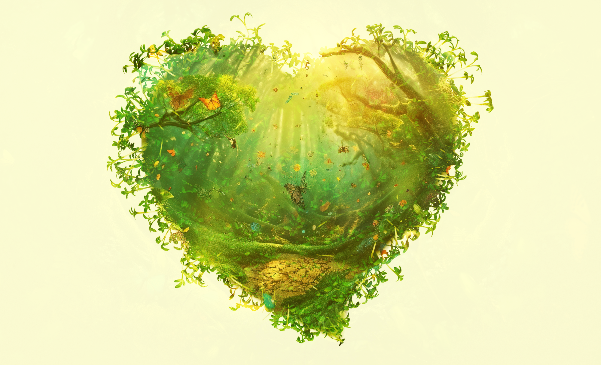 To get consumers to engage on sustainability, focus on health