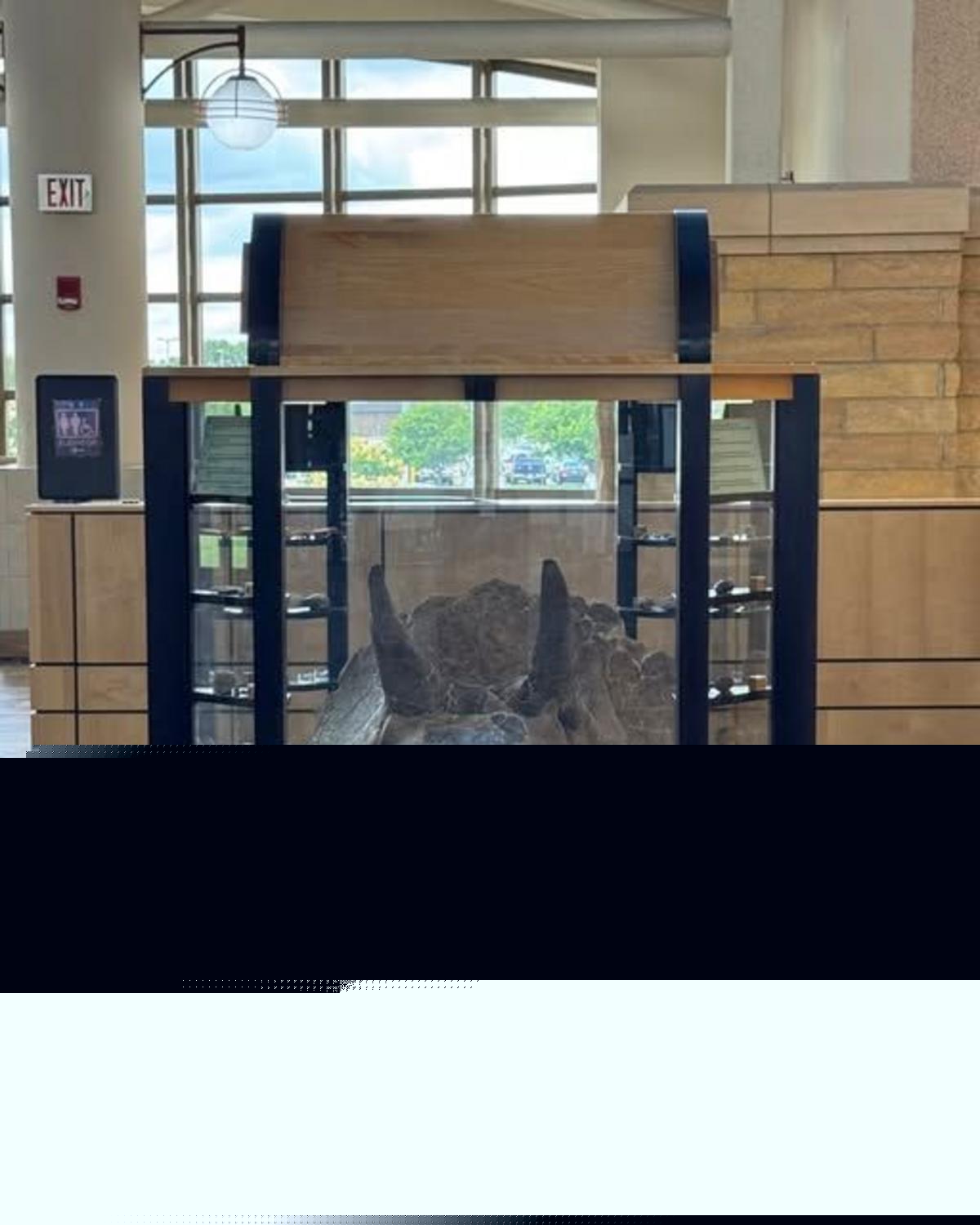 Is This A Bismarck Airport Passenger Layover?
