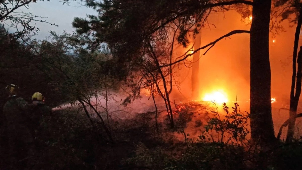 POŽAR GUTA DELIBLATSKU PEŠČARU Vatrena stihija zahvatila više od 1.500 hektara: U gašenju učestvuje više od 400 ljudi (FOTO, VIDEO)
