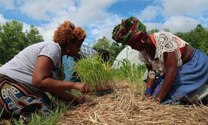 Black Farmers Embrace Practices of Climate Resiliency