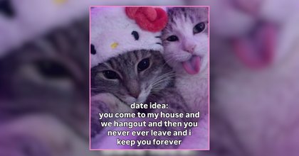 35 Cutie Cats Memes for Folks Craving Something Sweet