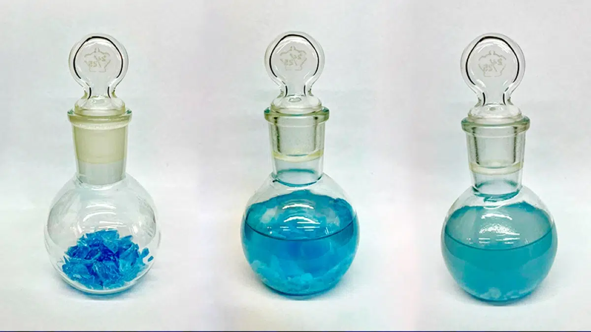 Residuos transformados en plástico biodegradable: cómo es el novedoso método que desarrolló una científica del CONICET