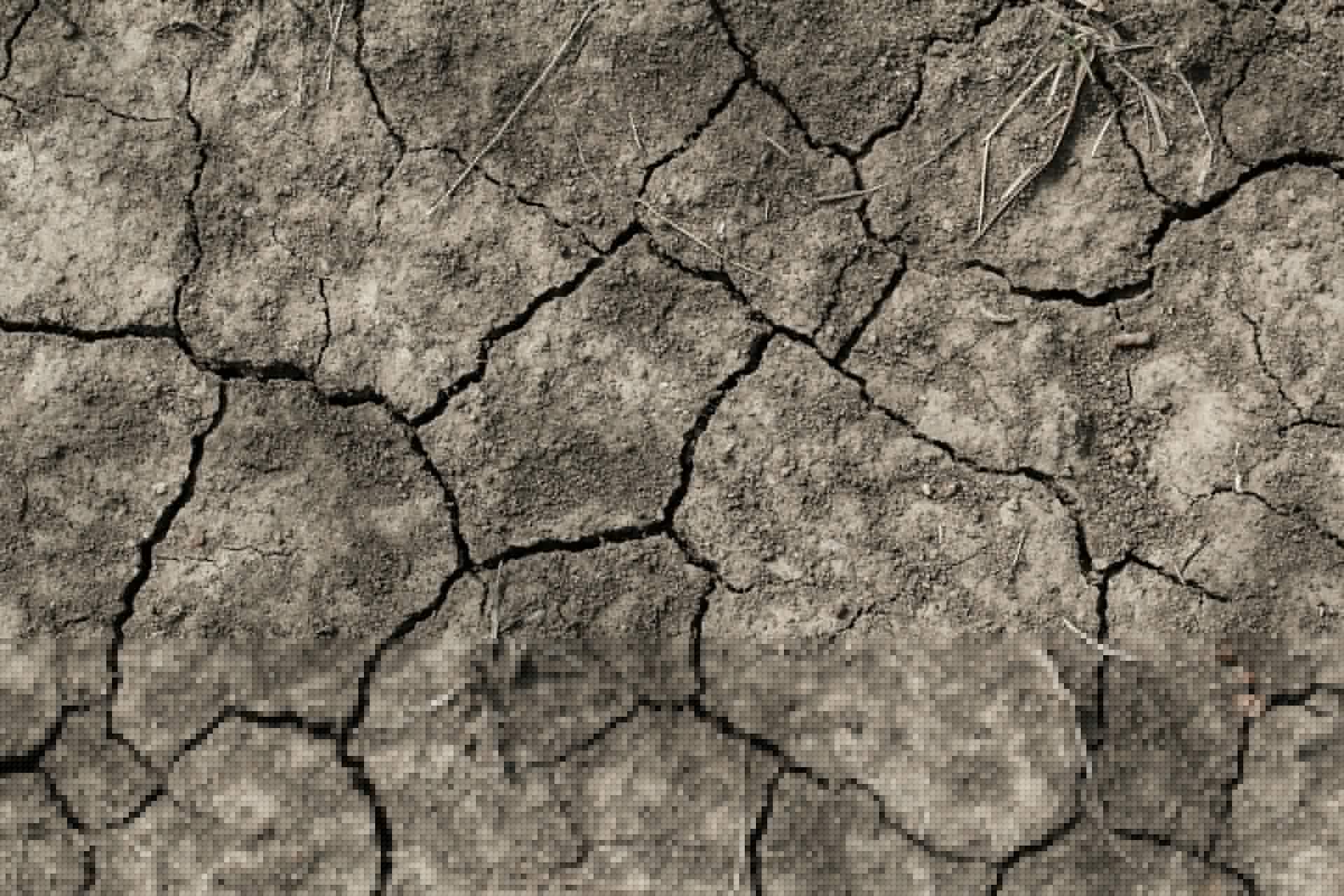 Green Party survey finds 85% of Islanders affected by June heatwave